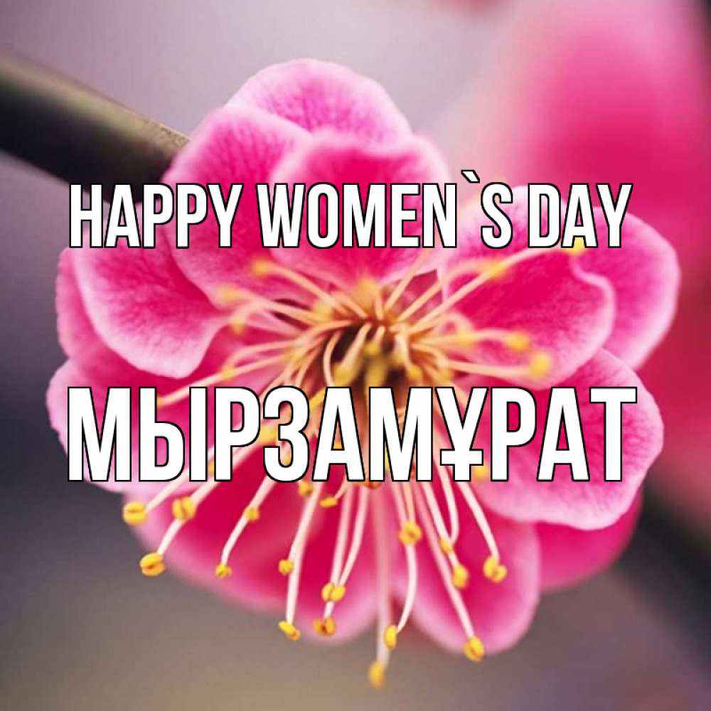 Greetings card с именем, Мырзамұрат happy women`s day цветы Greetings with text for free download 